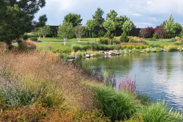 Backyard Pond Installation